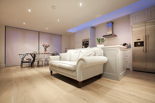 Contemporary Living Room - Edenvale Road, Sands End, Fulham          -          Professional          plumbing          work          by          Rosebourne          Plumbing